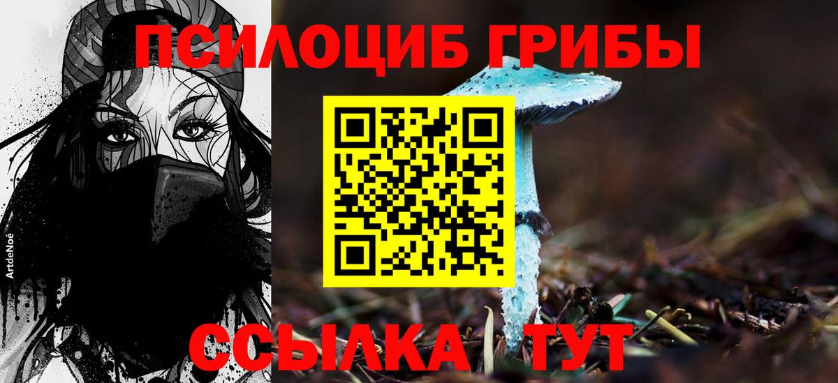 Галлюциногенные грибы Psilocybine cubensis  Вход с VPN  Грозный  Псилоцибиновые грибы Psilocybe 