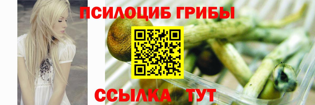 Псилоцибиновые грибы MAGIC MUSHROOMS Грозный