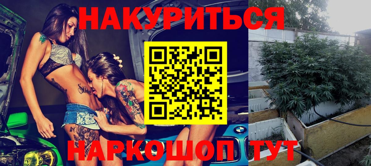 МАРИХУАНА ГИДРОПОН Грозный